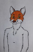 Fox Head with Lineart Body