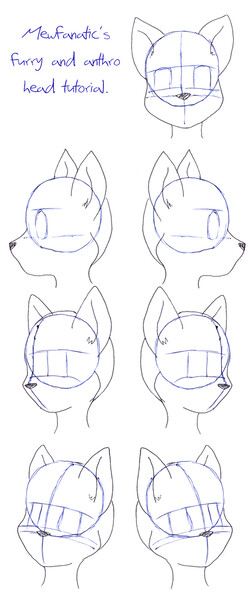 Basic furry and anthro head tutorial by Mewfanatic -- Fur Affinity [dot ...