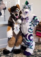 Kaluna and Strypes