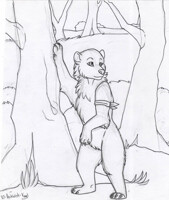 COMM Outdoorsman