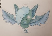 Jay