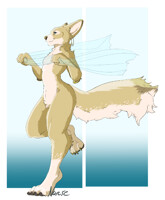 Fennec dancer