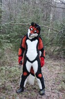 It’s very dangerous to be in the forest!