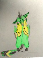 My lil birb in parrot kigu