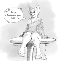 Little shirt thief