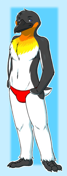 Penguin speedo discount