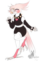 another dumb bird boy