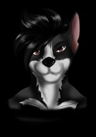 [WP] Here comes new chalanger -neotewolf - icon