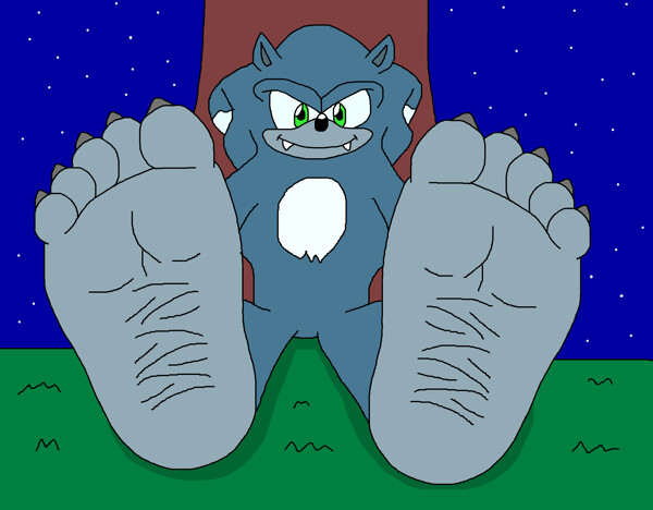 Sonic's Werehog Feet Tease by JohnHall -- Fur Affinity [dot] net