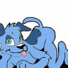 moves his tail