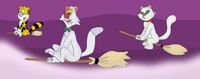 Billy the cat, Mr Hubert and Queenie all ride on broomsticks