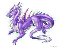Violet Pride Dragon