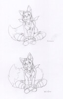 seasonal coats