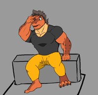 Dusk Commision