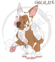 Adopta-Adora-Bulls: Chocolate