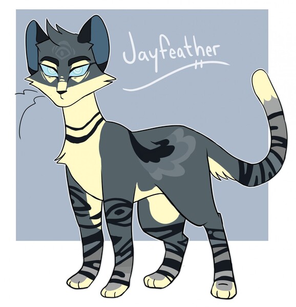 Warriors Jayfeather | Postcard