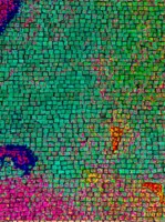 Colourful wall