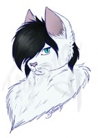 Commission for Dejv4747
