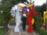 Confuzzled - we found a sweety