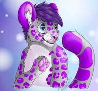 Cute Leopard comm