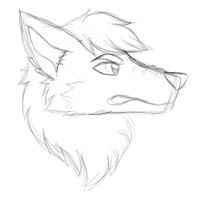 WIP Headshot Of Winter