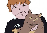 sheeran meme