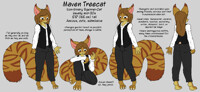 Maven Profile - Clothed