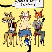Who’s getting shaved?