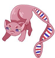 Helix the Mew