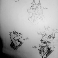 Some female furs I created