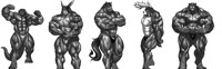 The Lineup