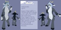 Comet - The Starred Leaf