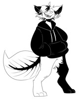 Boogie wit da hoodie