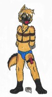 Kurfust speedo dancer XD