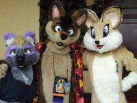 spin and furry friends