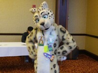 cheeta suit