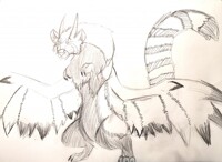 Red Panda Derg