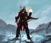 Wizard in the Frozen valley. Animation