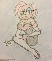 Amy Rouge in Sonic X 6 by FaunaFox1 -- Fur Affinity [dot] net