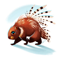 Porcupine - Warm Up