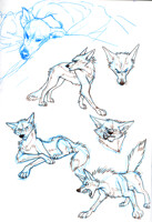 Denali Doodles 2
