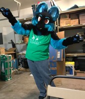 Emotional Support Jackal