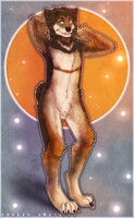 Shiba [commission]