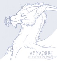 C029 | Rose for a lady