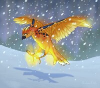 Jaehaerys the Pheonix