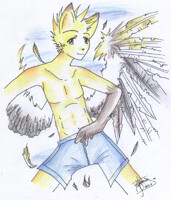 Desim by Steph the Cat