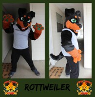 Rottweiler Fursuit