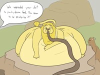 Feeding Feral Fatty Felines (Clean)