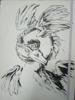 Fast sketch