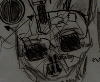 Laska Skull exposed view